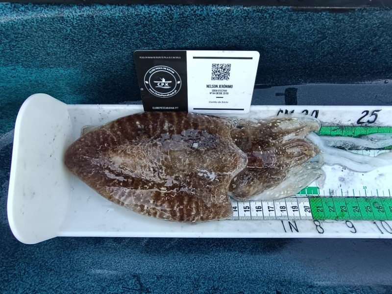 Fish Measure Picture