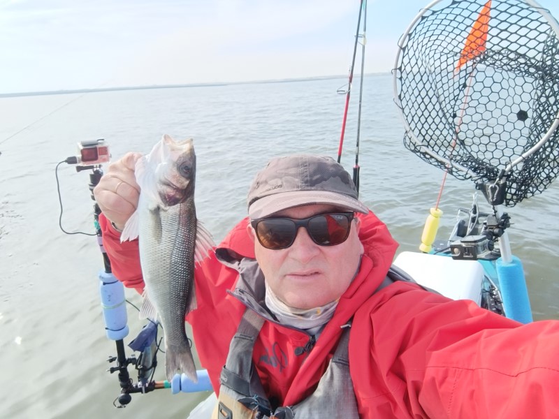 Fish Profile Picture