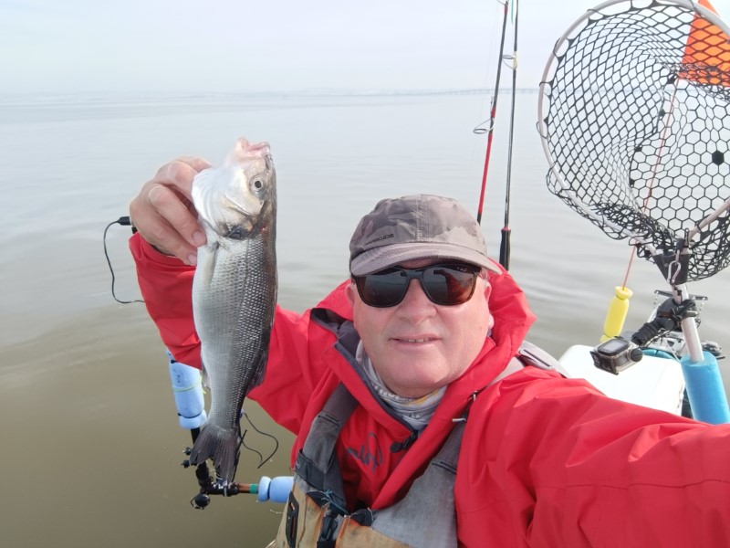 Fish Profile Picture