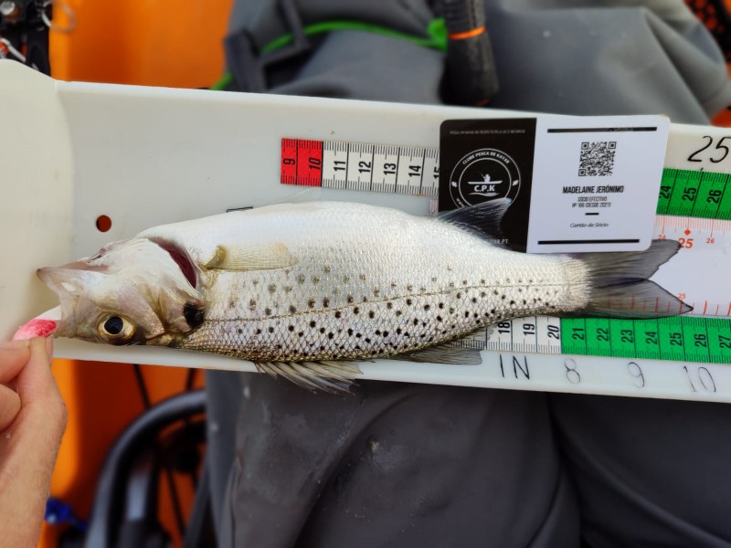 Fish Measure Picture