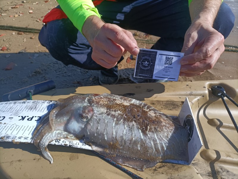 Fish Measure Picture