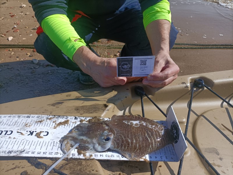 Fish Measure Picture