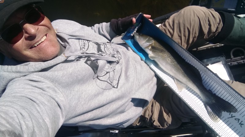 Fish Profile Picture