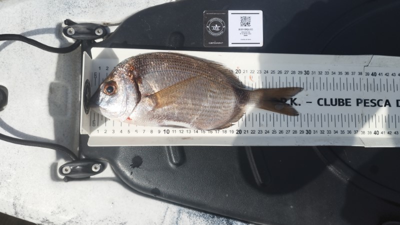 Fish Measure Picture
