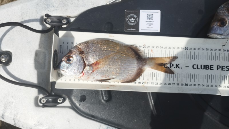 Fish Measure Picture