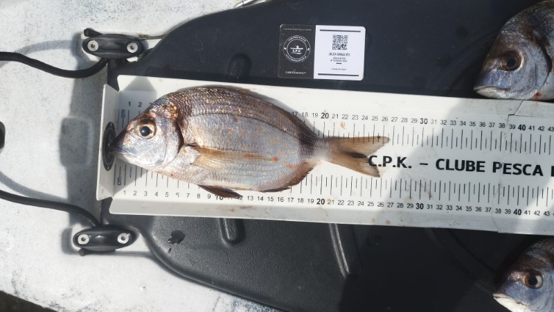 Fish Measure Picture