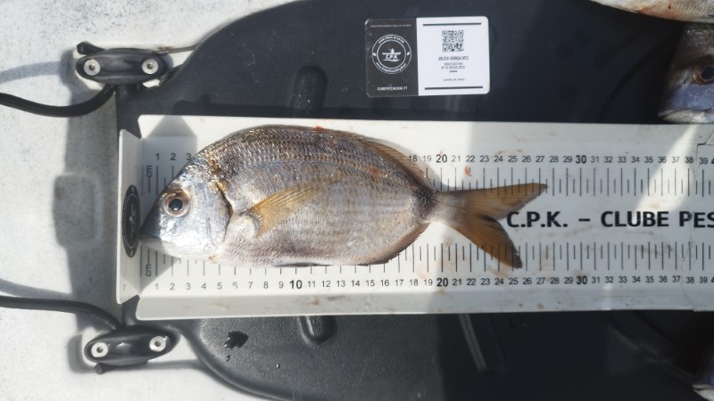 Fish Measure Picture