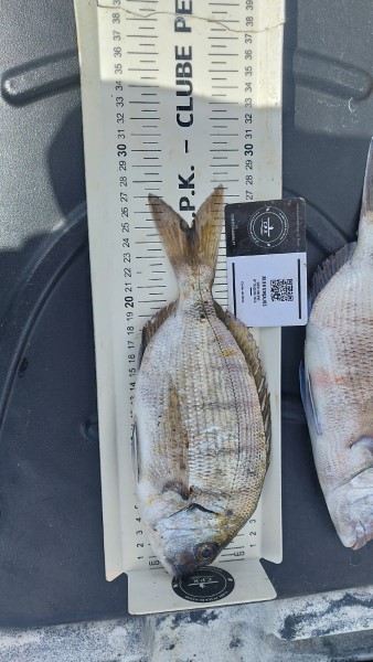 Fish Measure Picture