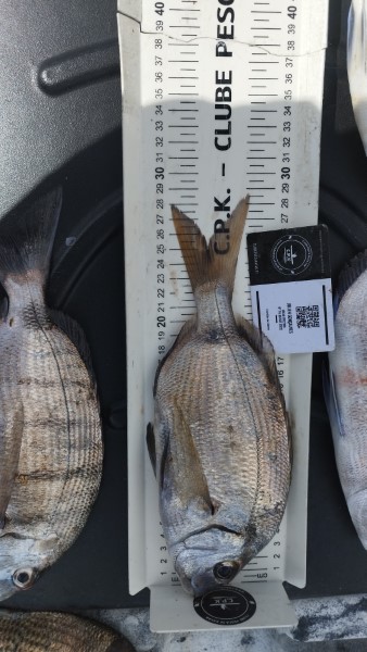 Fish Measure Picture
