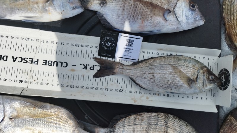 Fish Measure Picture