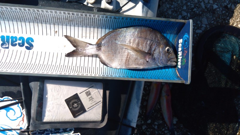 Fish Measure Picture