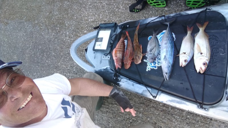 Fish Profile Picture