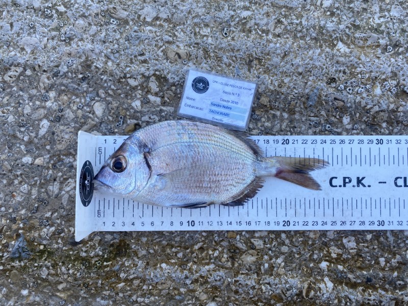 Fish Measure Picture