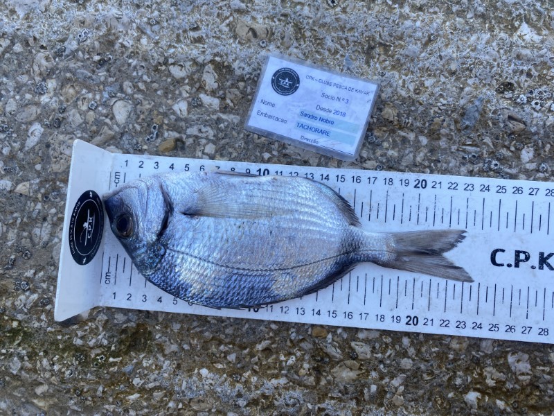 Fish Measure Picture