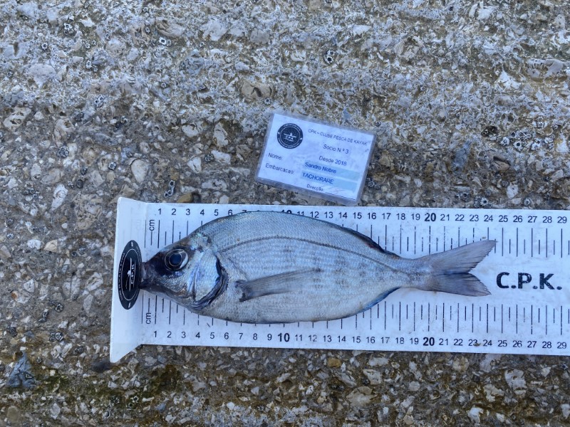 Fish Measure Picture