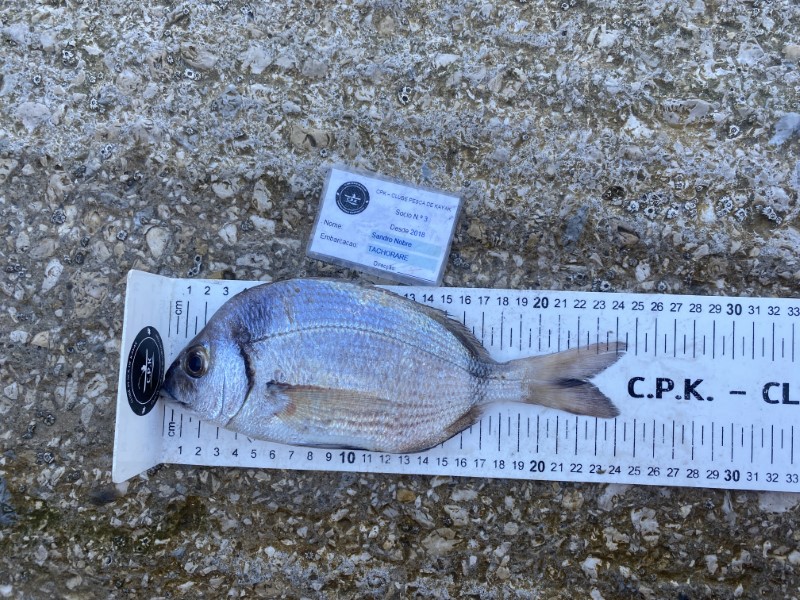 Fish Measure Picture