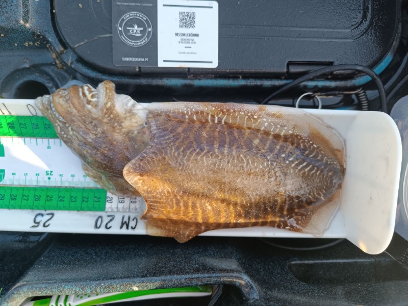 Fish Measure Picture