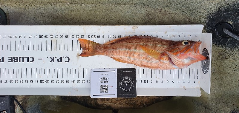 Fish Measure Picture