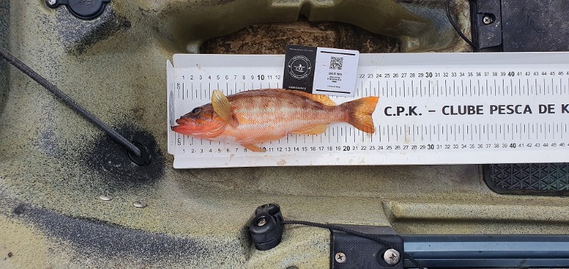 Fish Measure Picture