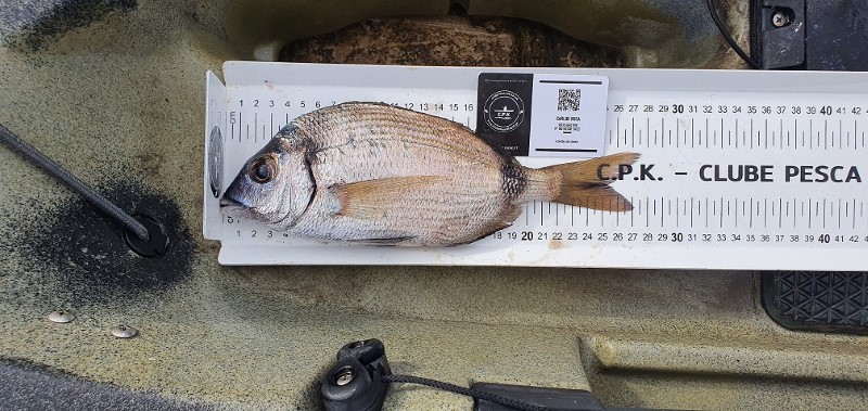 Fish Measure Picture