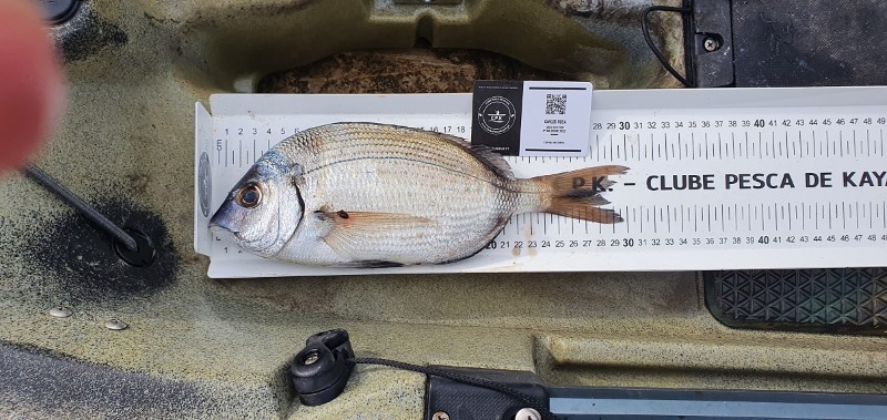 Fish Measure Picture