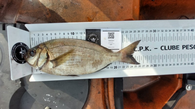 Fish Measure Picture