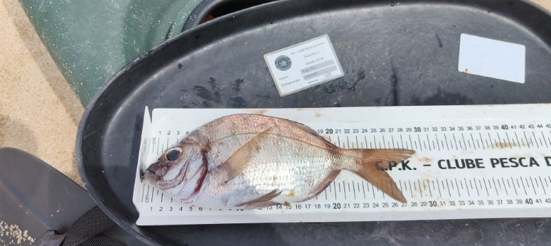 Fish Measure Picture