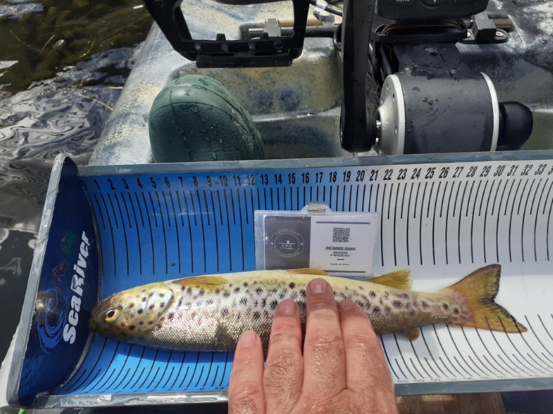 Fish Measure Picture