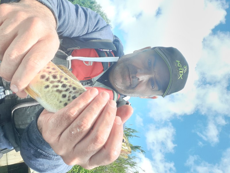 Fish Profile Picture