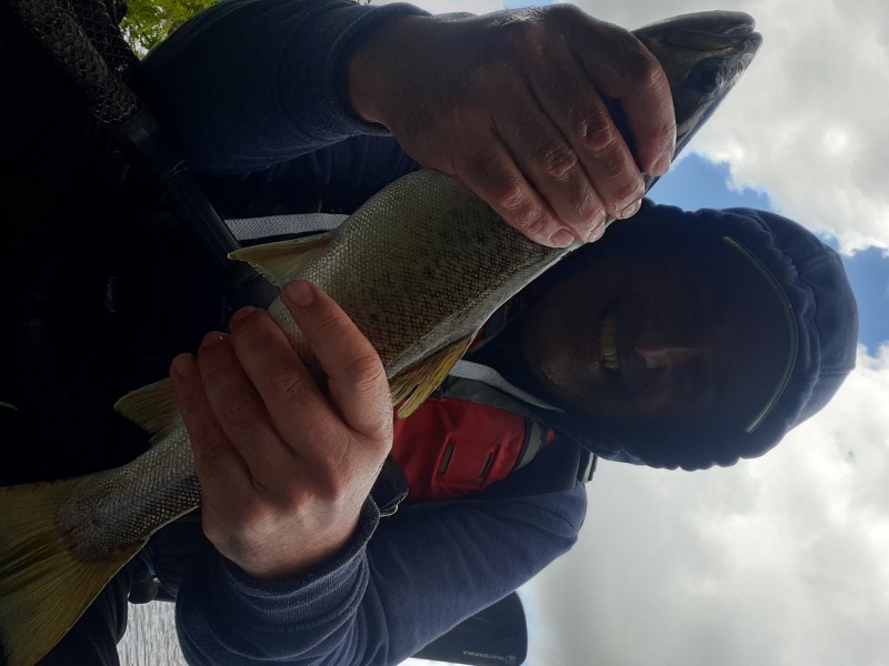 Fish Profile Picture