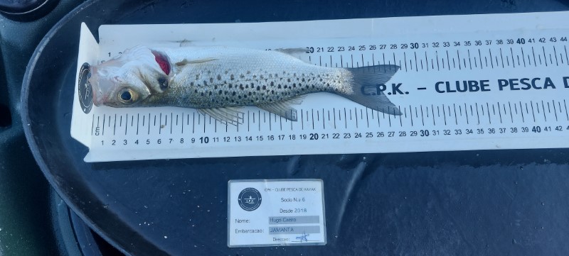 Fish Measure Picture