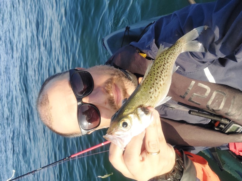 Fish Profile Picture