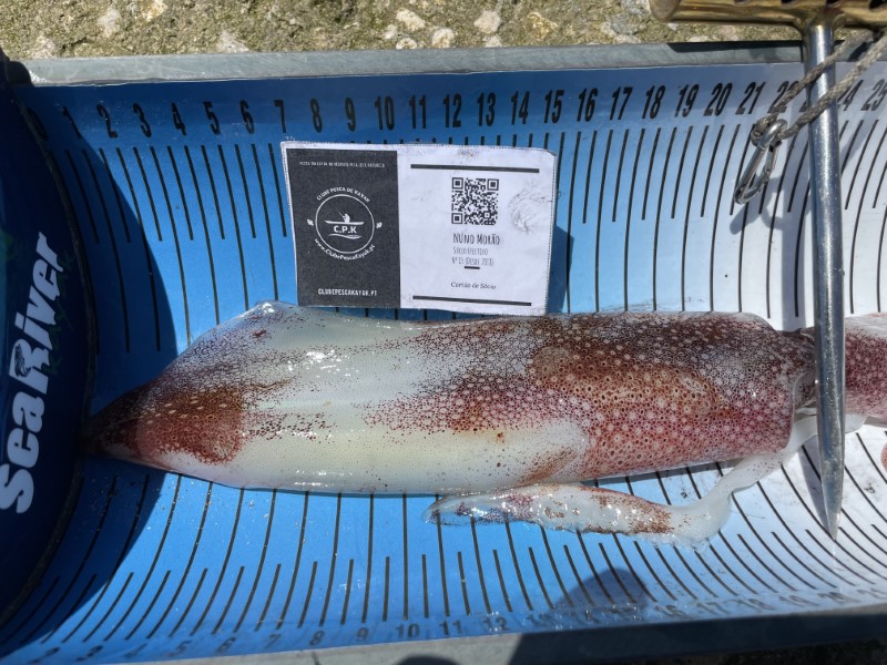 Fish Measure Picture