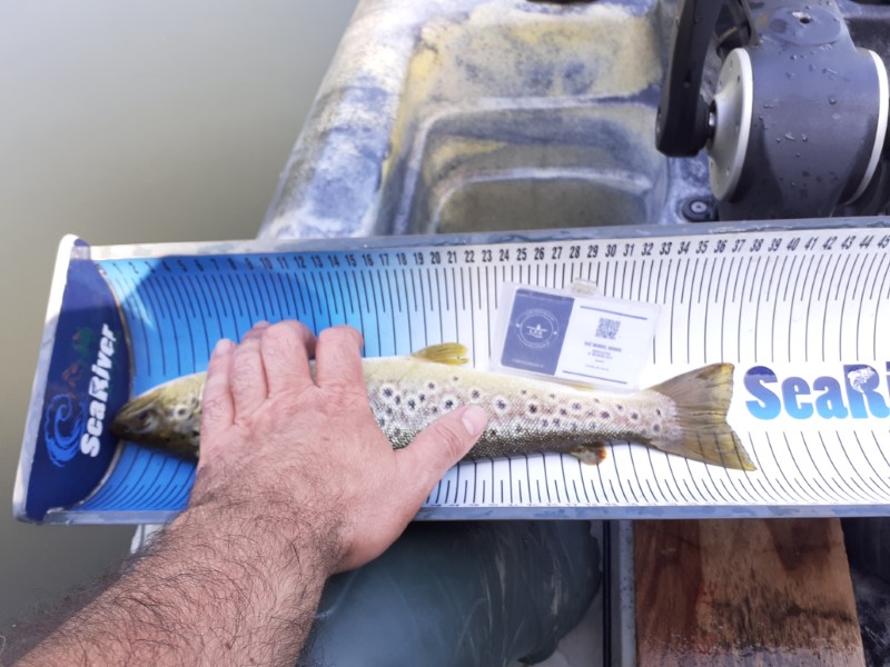 Fish Measure Picture