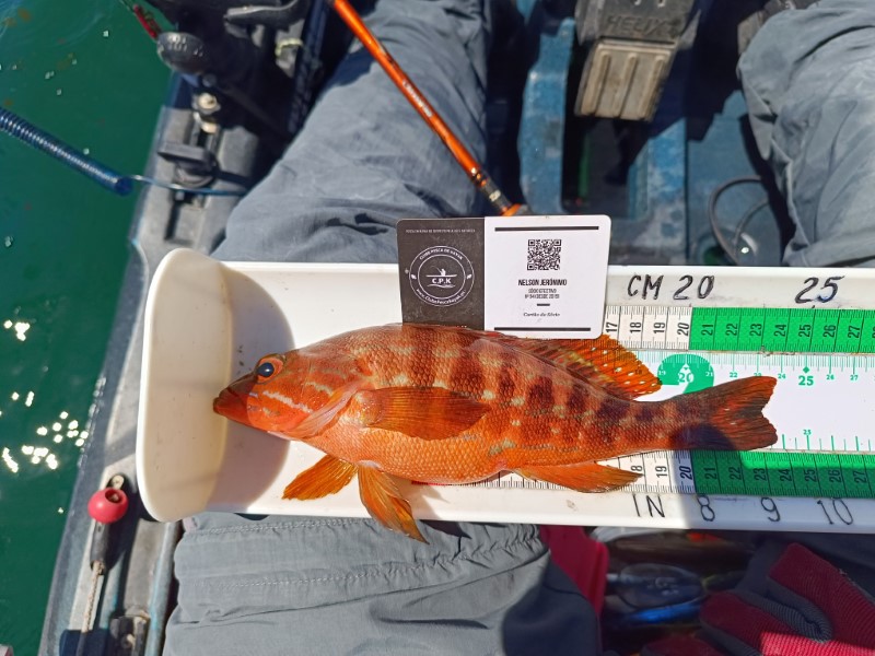 Fish Measure Picture