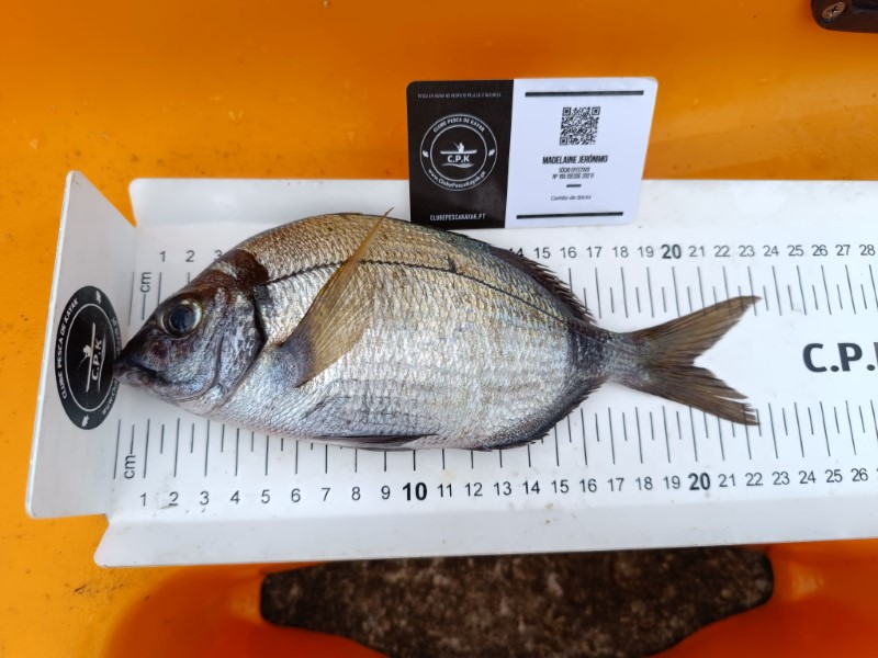 Fish Measure Picture