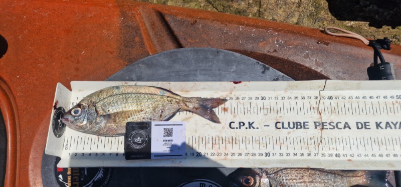 Fish Measure Picture