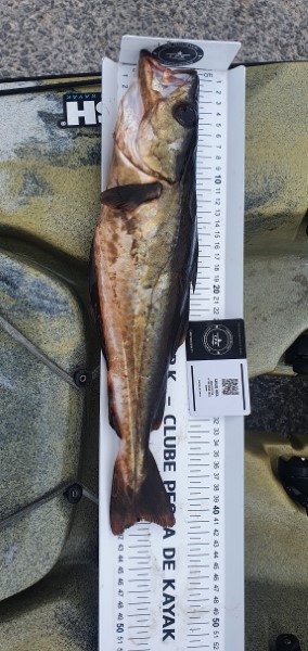 Fish Measure Picture