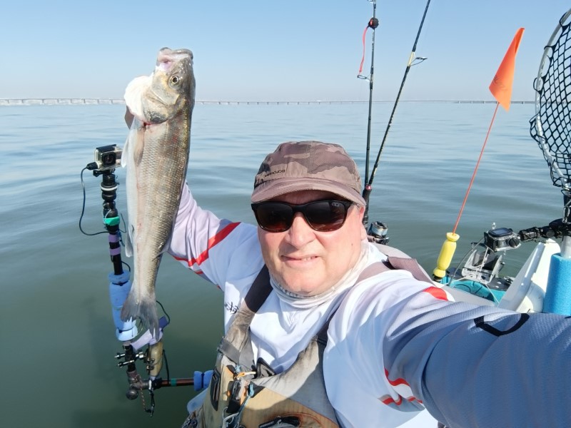 Fish Profile Picture