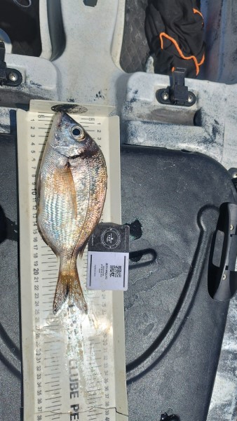 Fish Measure Picture