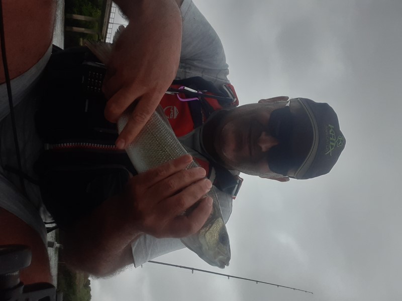 Fish Profile Picture