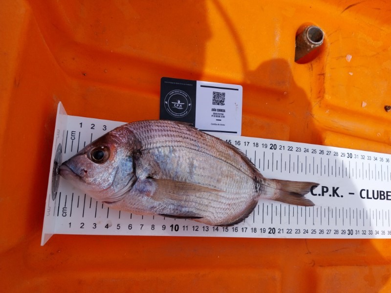 Fish Measure Picture