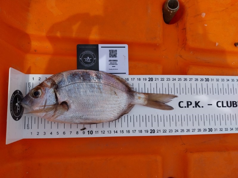 Fish Measure Picture