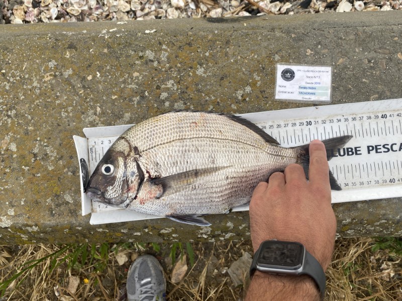 Fish Measure Picture