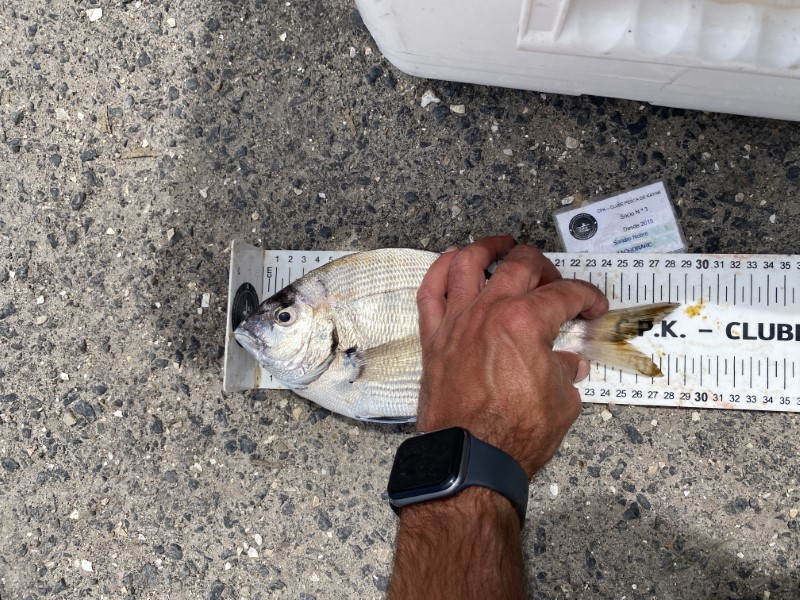 Fish Measure Picture