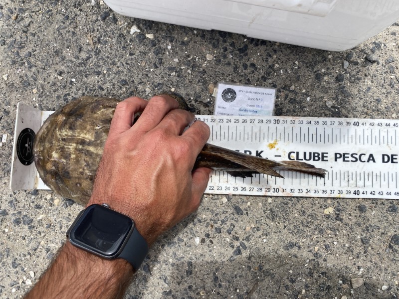 Fish Measure Picture