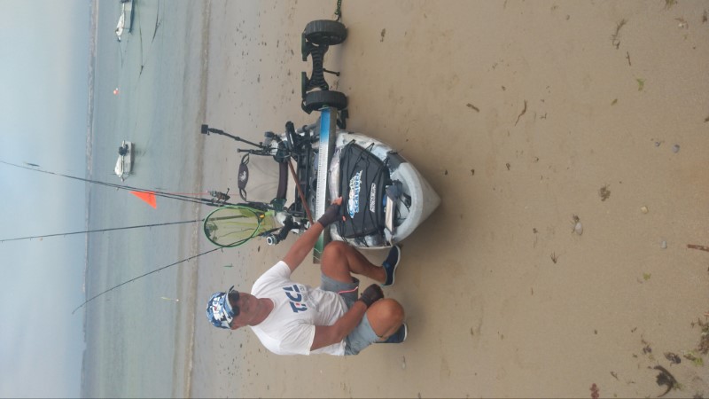 Fish Profile Picture