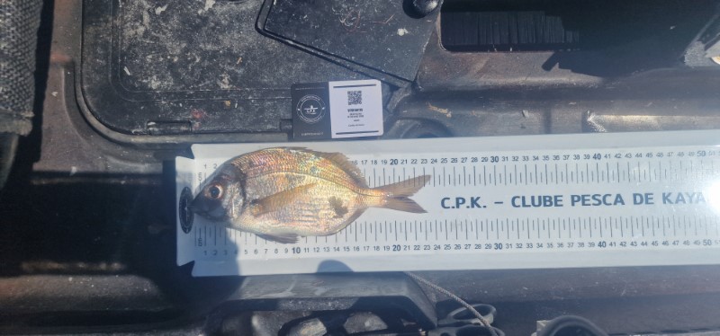 Fish Measure Picture