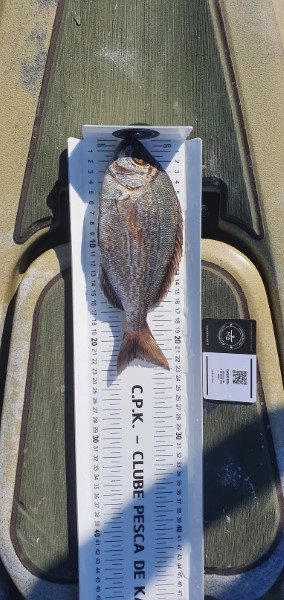 Fish Measure Picture
