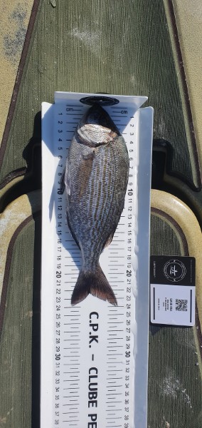 Fish Measure Picture